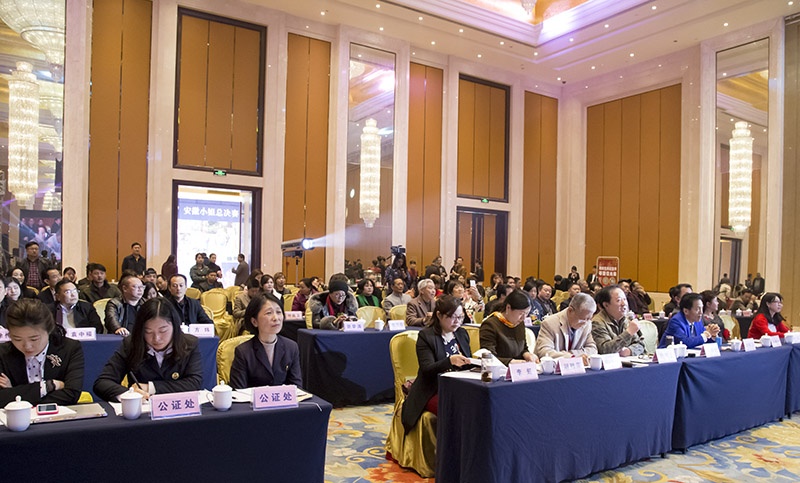 首届“博超杯”安徽小姐大赛总决赛完美落幕