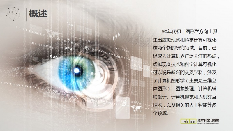 维尔科宝（安徽）应用大数据产业有限公司中期报告