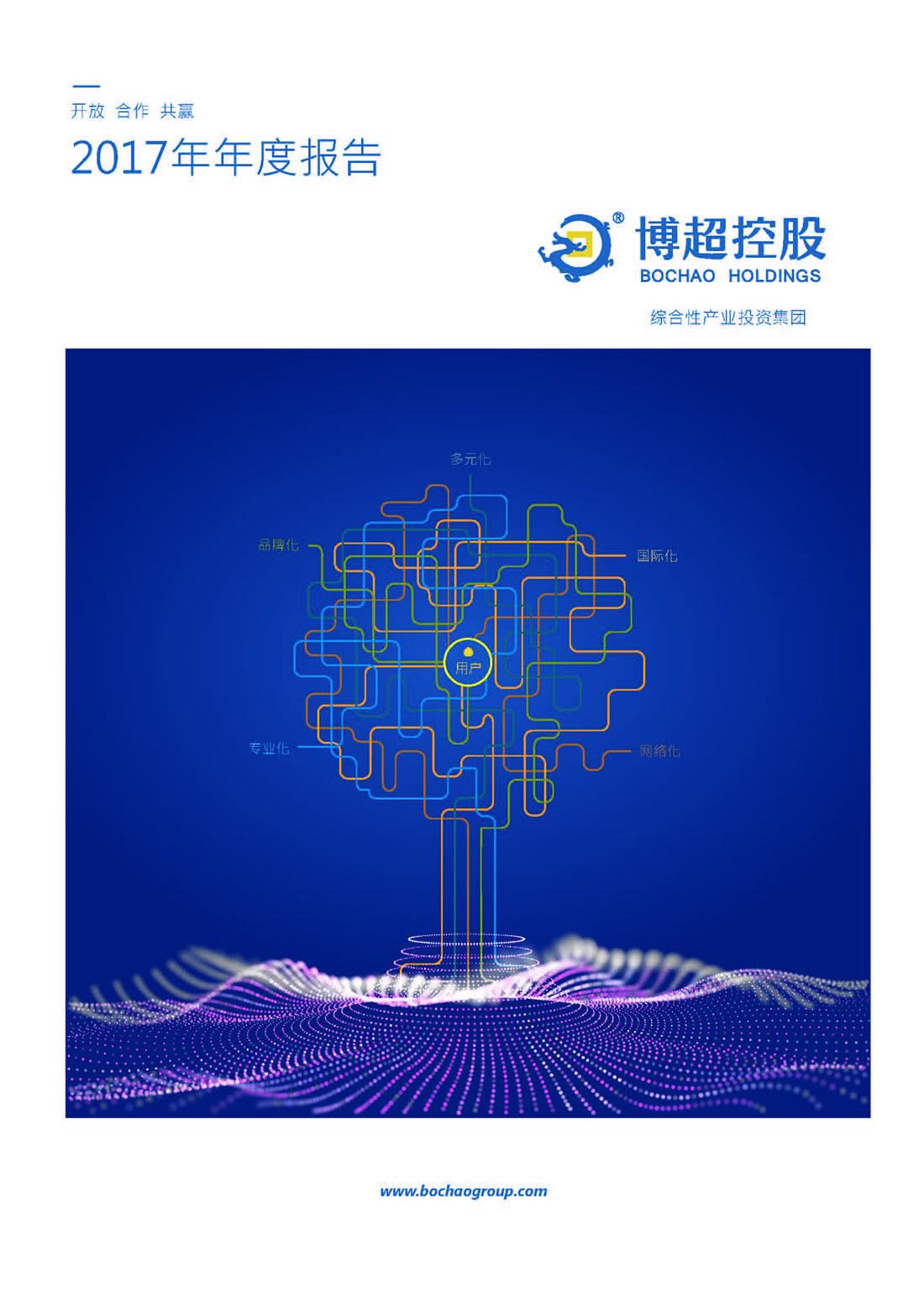 安徽省博超控股集团2017年年度报告