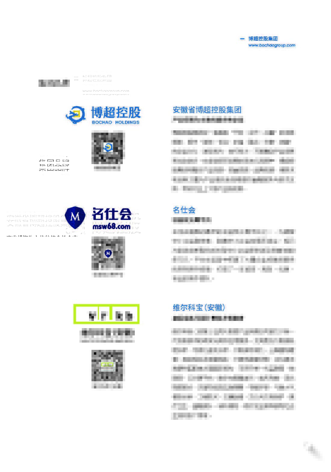安徽省博超控股集团2017年年度报告