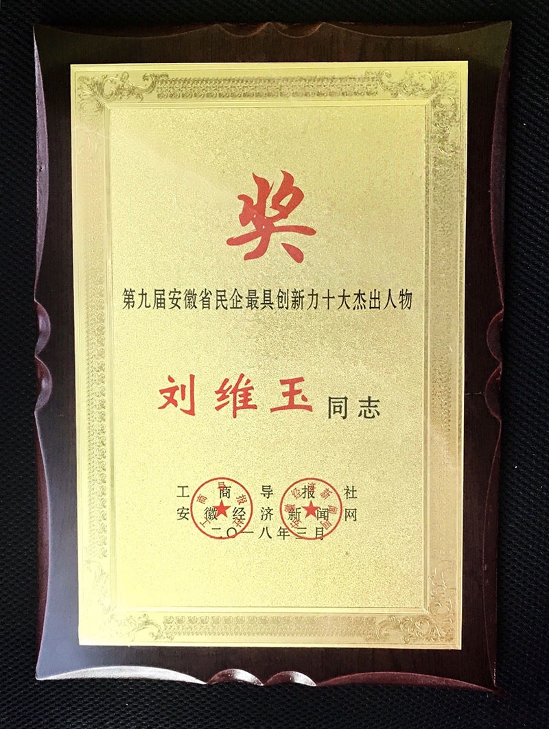 【喜讯】热烈祝贺博超控股集团董事长刘维玉先生荣获“安徽省民营企业最具创新力十大杰出人物